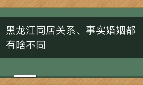 黑龙江同居关系、事实婚姻都有啥不同