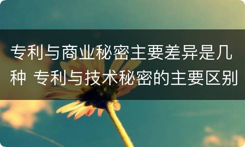 专利与商业秘密主要差异是几种 专利与技术秘密的主要区别
