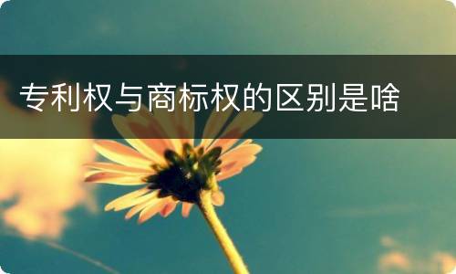 专利权与商标权的区别是啥