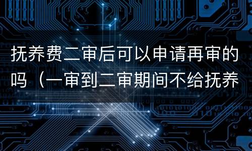 抚养费二审后可以申请再审的吗（一审到二审期间不给抚养费）