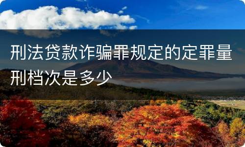 刑法贷款诈骗罪规定的定罪量刑档次是多少