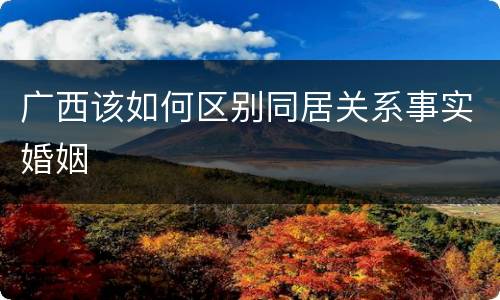 广西该如何区别同居关系事实婚姻