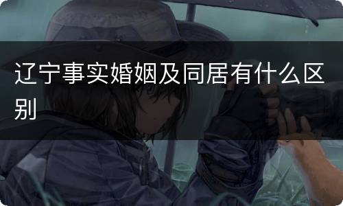 辽宁事实婚姻及同居有什么区别