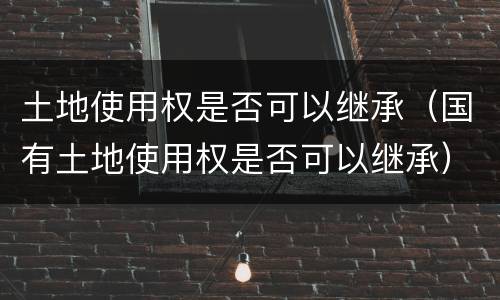 土地使用权是否可以继承（国有土地使用权是否可以继承）