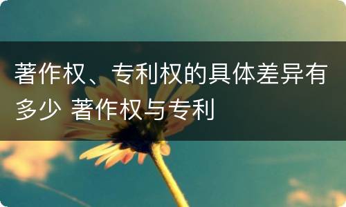 著作权、专利权的具体差异有多少 著作权与专利