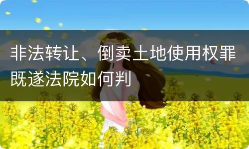 非法转让、倒卖土地使用权罪既遂法院如何判