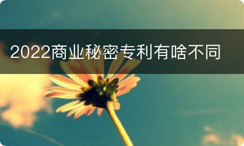2022商业秘密专利有啥不同