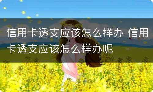 信用卡透支应该怎么样办 信用卡透支应该怎么样办呢
