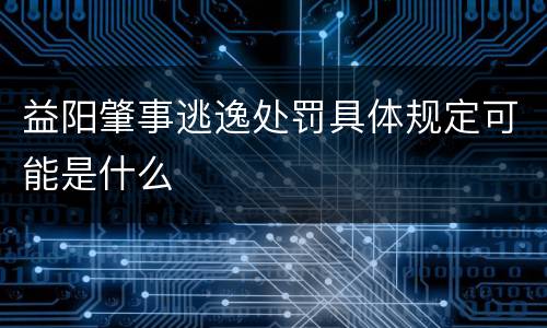 益阳肇事逃逸处罚具体规定可能是什么