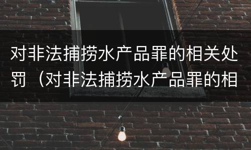 对非法捕捞水产品罪的相关处罚（对非法捕捞水产品罪的相关处罚标准）