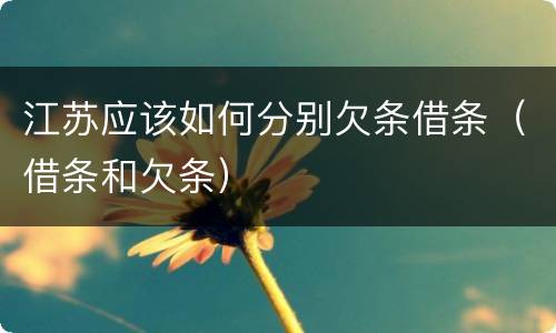 江苏应该如何分别欠条借条（借条和欠条）