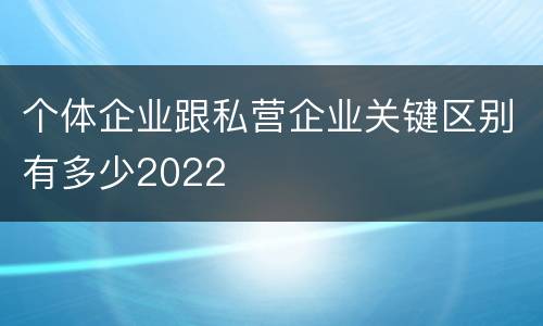 个体企业跟私营企业关键区别有多少2022