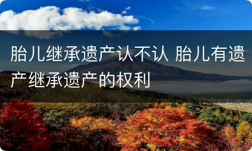 胎儿继承遗产认不认 胎儿有遗产继承遗产的权利