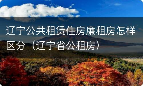 辽宁公共租赁住房廉租房怎样区分（辽宁省公租房）