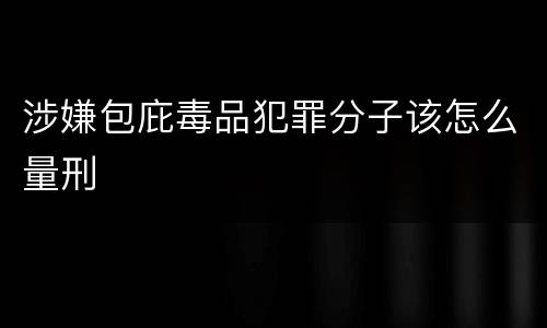 涉嫌包庇毒品犯罪分子该怎么量刑