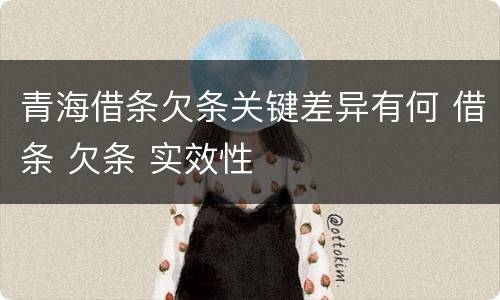 青海借条欠条关键差异有何 借条 欠条 实效性