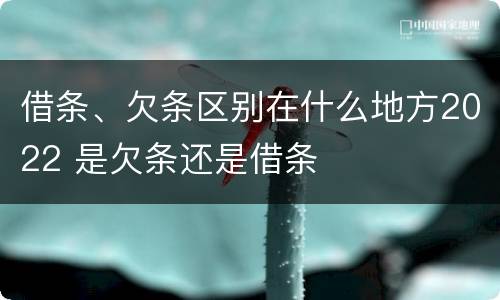 借条、欠条区别在什么地方2022 是欠条还是借条