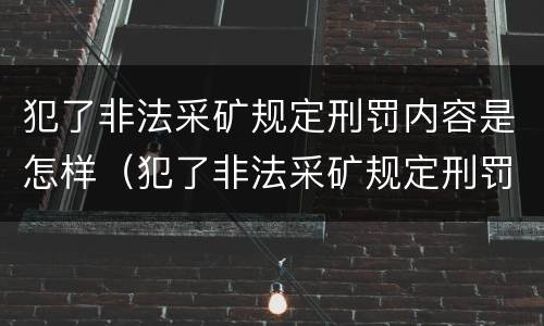 犯了非法采矿规定刑罚内容是怎样（犯了非法采矿规定刑罚内容是怎样规定的）