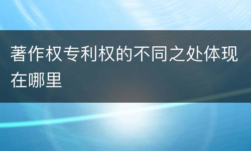 著作权专利权的不同之处体现在哪里