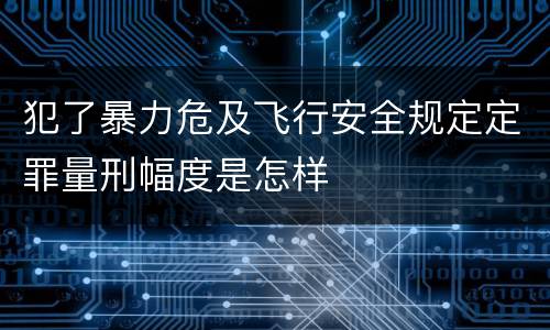 犯了暴力危及飞行安全规定定罪量刑幅度是怎样