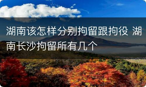 湖南该怎样分别拘留跟拘役 湖南长沙拘留所有几个