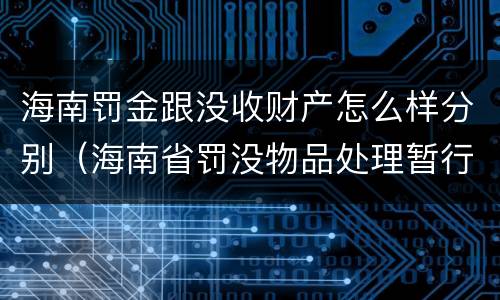 海南罚金跟没收财产怎么样分别（海南省罚没物品处理暂行办法）