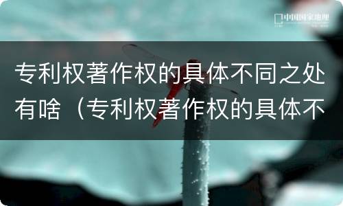 专利权著作权的具体不同之处有啥（专利权著作权的具体不同之处有啥特点）