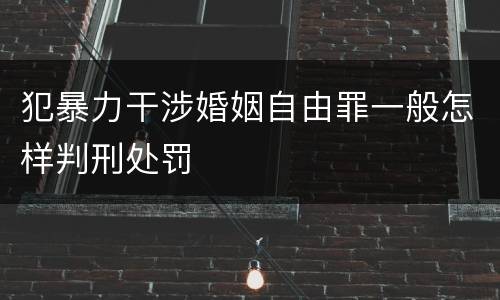 犯暴力干涉婚姻自由罪一般怎样判刑处罚