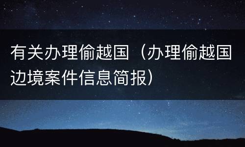 有关办理偷越国（办理偷越国边境案件信息简报）