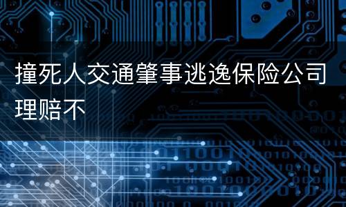 撞死人交通肇事逃逸保险公司理赔不