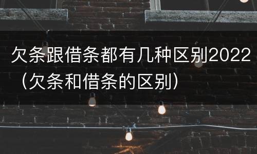 欠条跟借条都有几种区别2022（欠条和借条的区别）