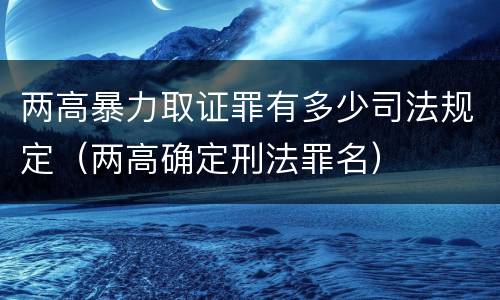 两高暴力取证罪有多少司法规定（两高确定刑法罪名）