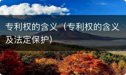 专利权的含义（专利权的含义及法定保护）