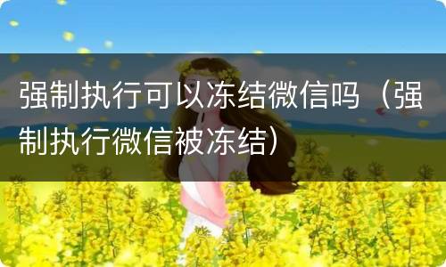 强制执行可以冻结微信吗（强制执行微信被冻结）