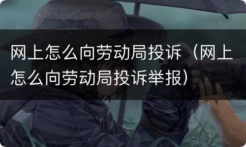 网上怎么向劳动局投诉（网上怎么向劳动局投诉举报）