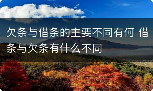 欠条与借条的主要不同有何 借条与欠条有什么不同