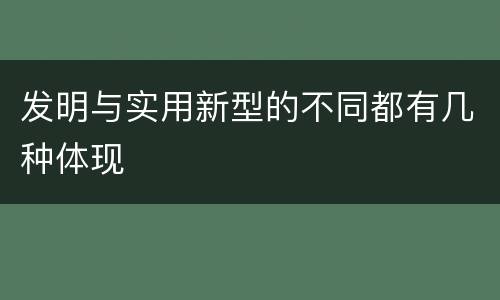 发明与实用新型的不同都有几种体现