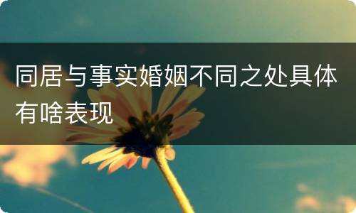 同居与事实婚姻不同之处具体有啥表现