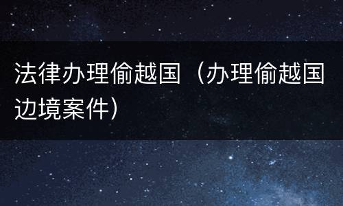 法律办理偷越国（办理偷越国边境案件）
