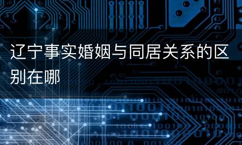 辽宁事实婚姻与同居关系的区别在哪