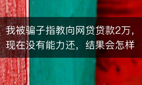 我被骗子指教向网贷贷款2万，现在没有能力还，结果会怎样