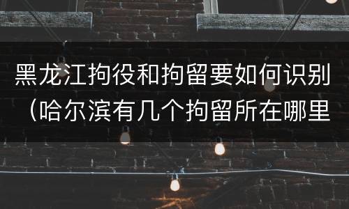 黑龙江拘役和拘留要如何识别（哈尔滨有几个拘留所在哪里）
