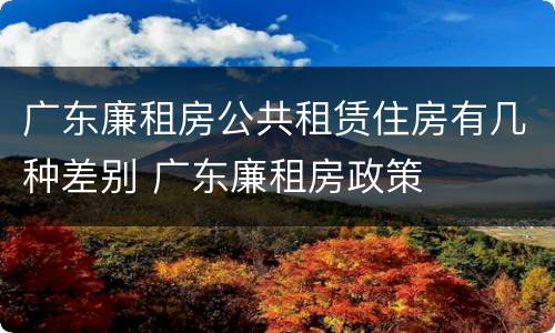 广东廉租房公共租赁住房有几种差别 广东廉租房政策