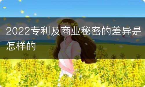 2022专利及商业秘密的差异是怎样的