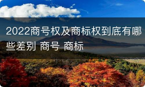 2022商号权及商标权到底有哪些差别 商号 商标