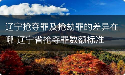 辽宁抢夺罪及抢劫罪的差异在哪 辽宁省抢夺罪数额标准
