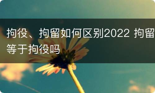 拘役、拘留如何区别2022 拘留等于拘役吗