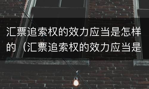 汇票追索权的效力应当是怎样的（汇票追索权的效力应当是怎样的法律规定）