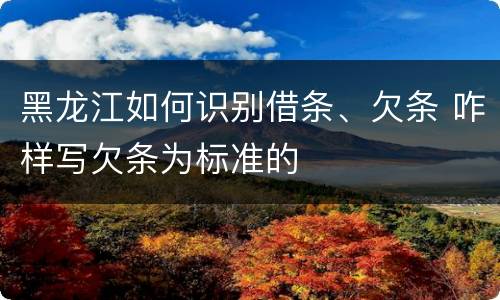 黑龙江如何识别借条、欠条 咋样写欠条为标准的