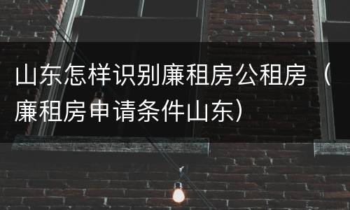 山东怎样识别廉租房公租房（廉租房申请条件山东）